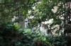 baltimore-animal-photography-20