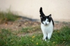 baltimore-animal-photography-21