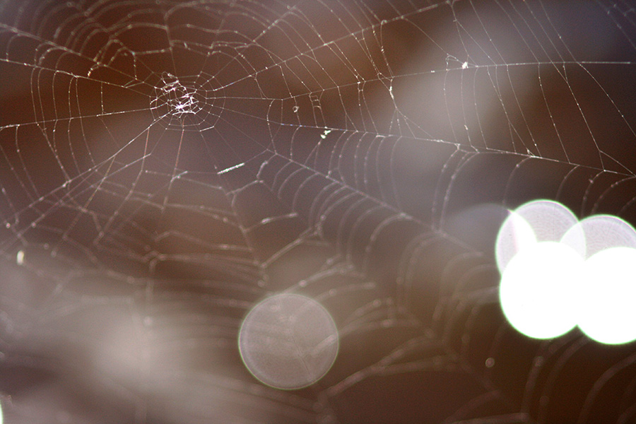 baltimore-photographer-25